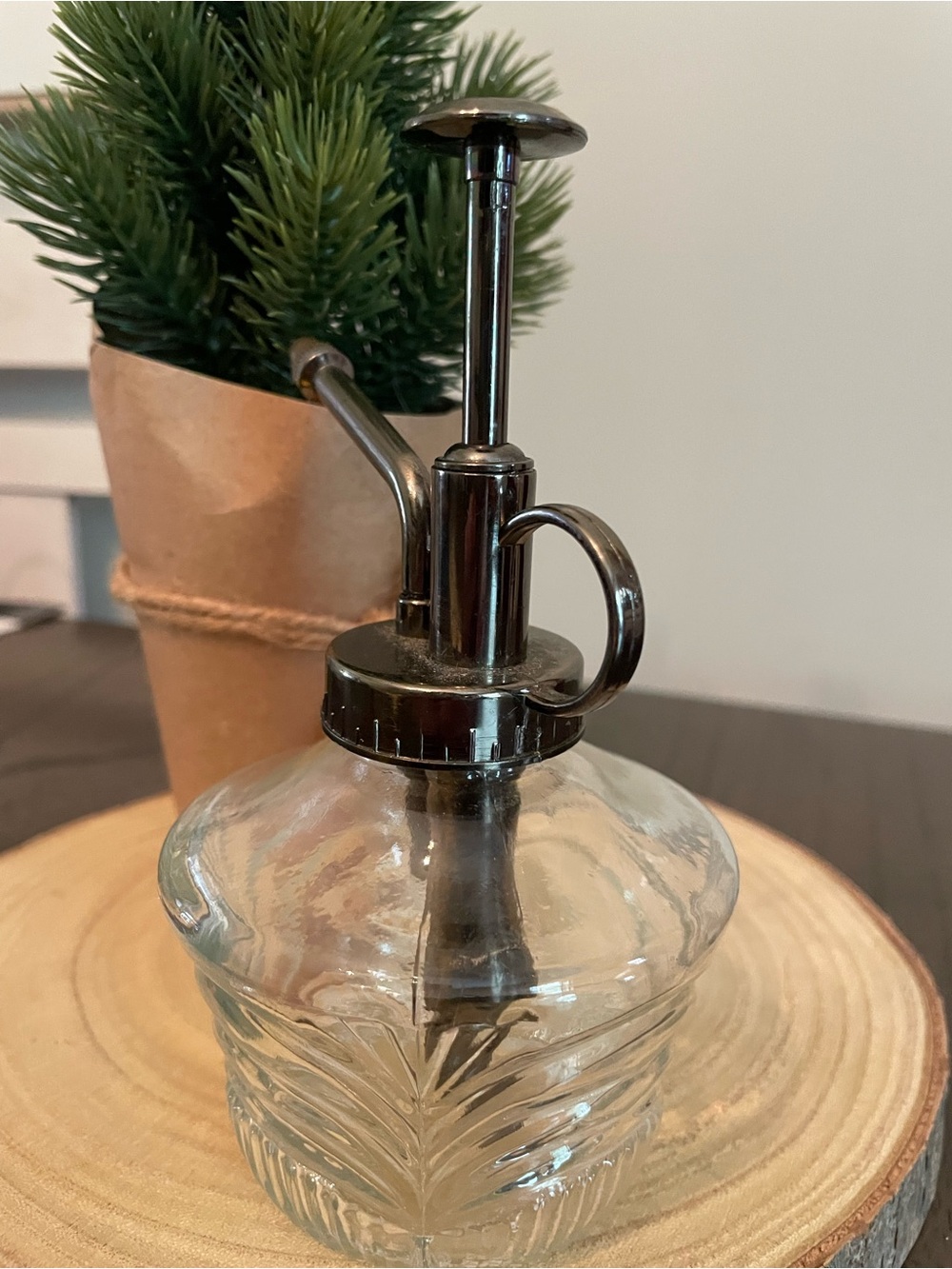 Clear Glass Plant Mister with Black Metallic Pump